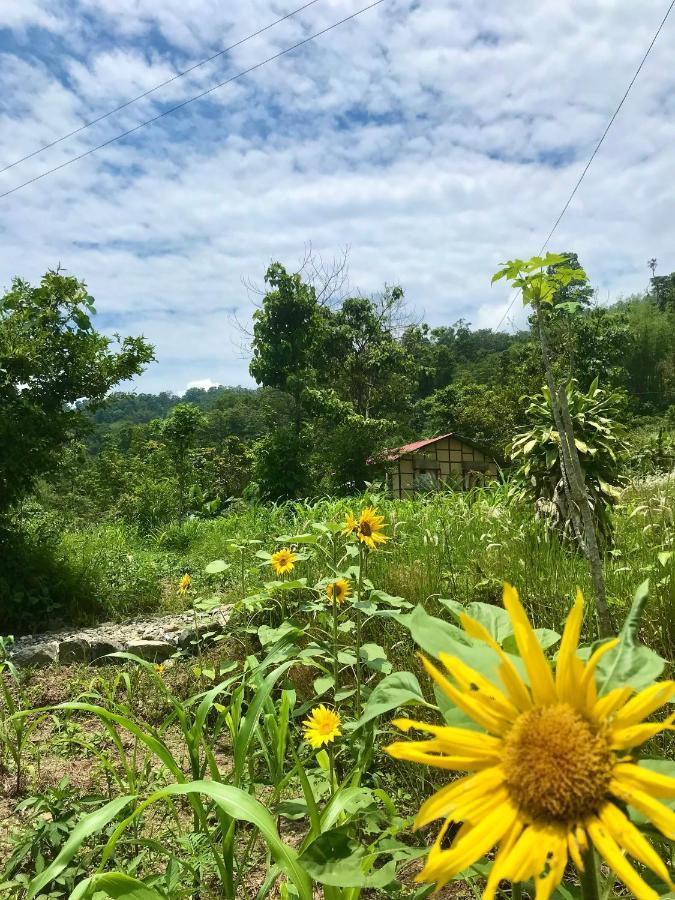 Palighar Farmstay Kalimpong Bagian luar foto