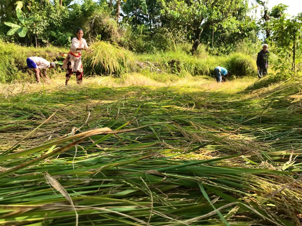 Palighar Farmstay Kalimpong Bagian luar foto