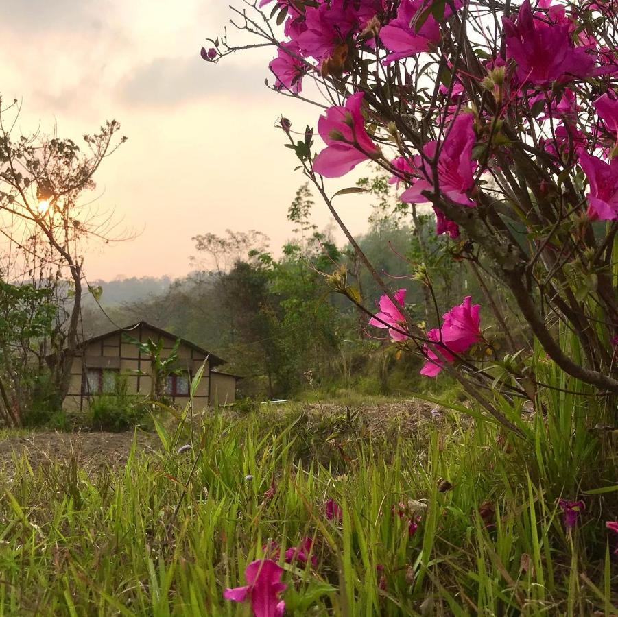 Palighar Farmstay Kalimpong Bagian luar foto