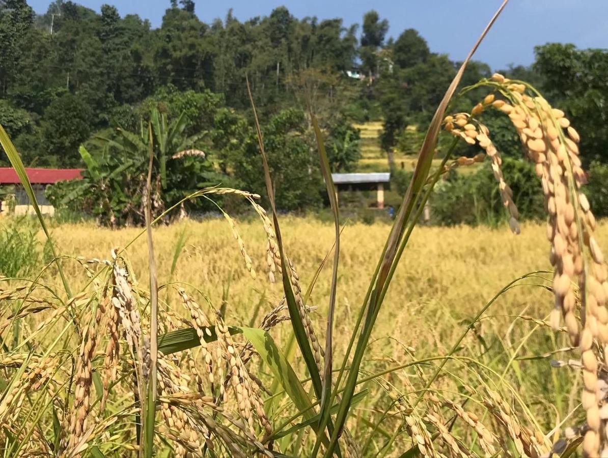 Palighar Farmstay Kalimpong Bagian luar foto