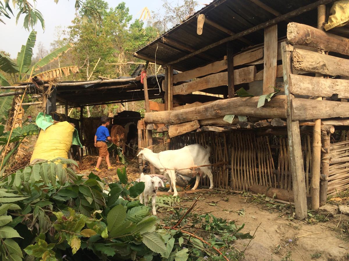 Palighar Farmstay Kalimpong Bagian luar foto